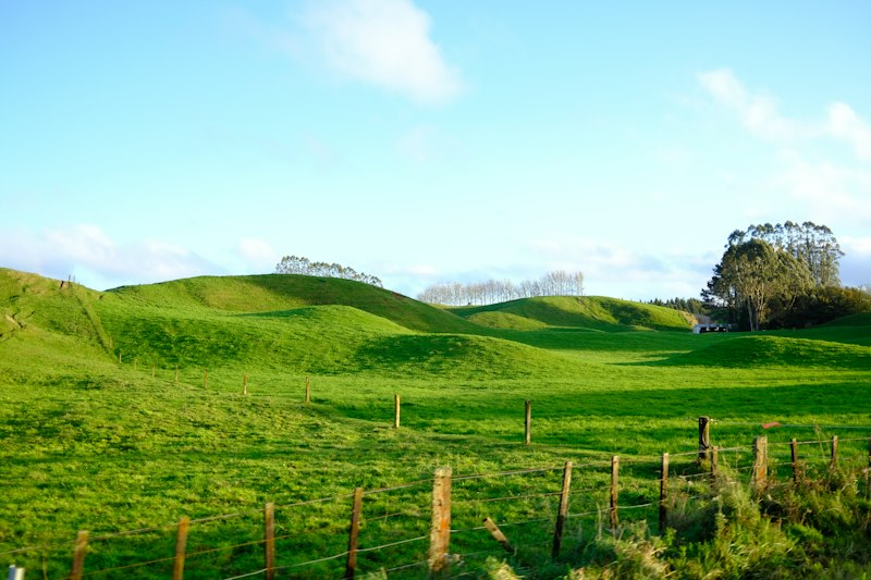 New Zealand's organic rules are being rewritten. You have until 22 September to say something.