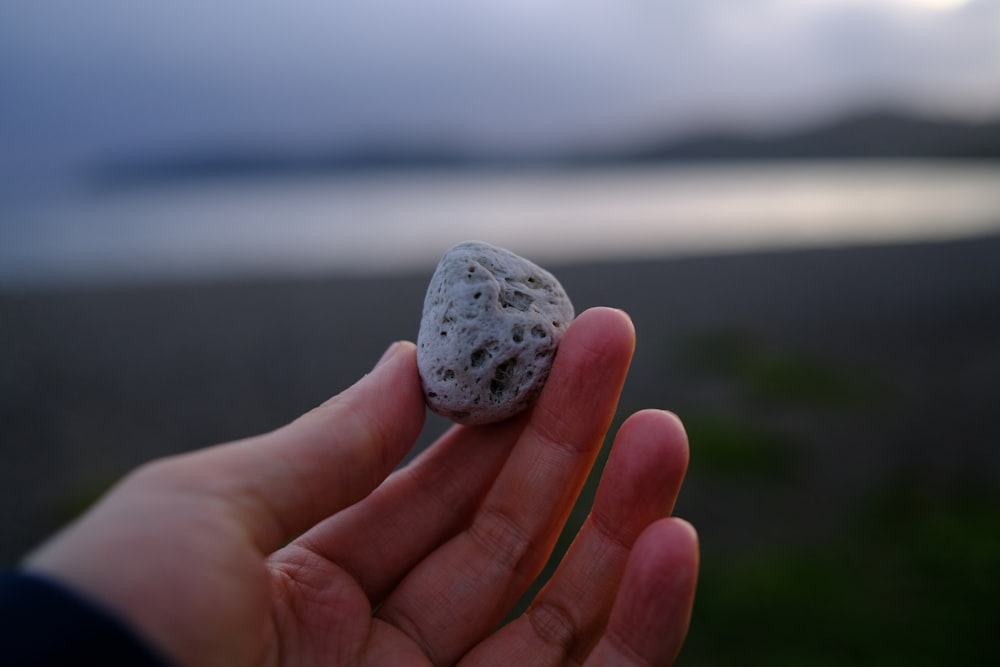 a person holding a rock in their hand