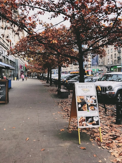 A sidewalk lined with benches and trees with autumn foliage, alongside a street with parked cars. A sandwich board advertising 'Burek & Pita' with images of food is prominently displayed in the foreground.