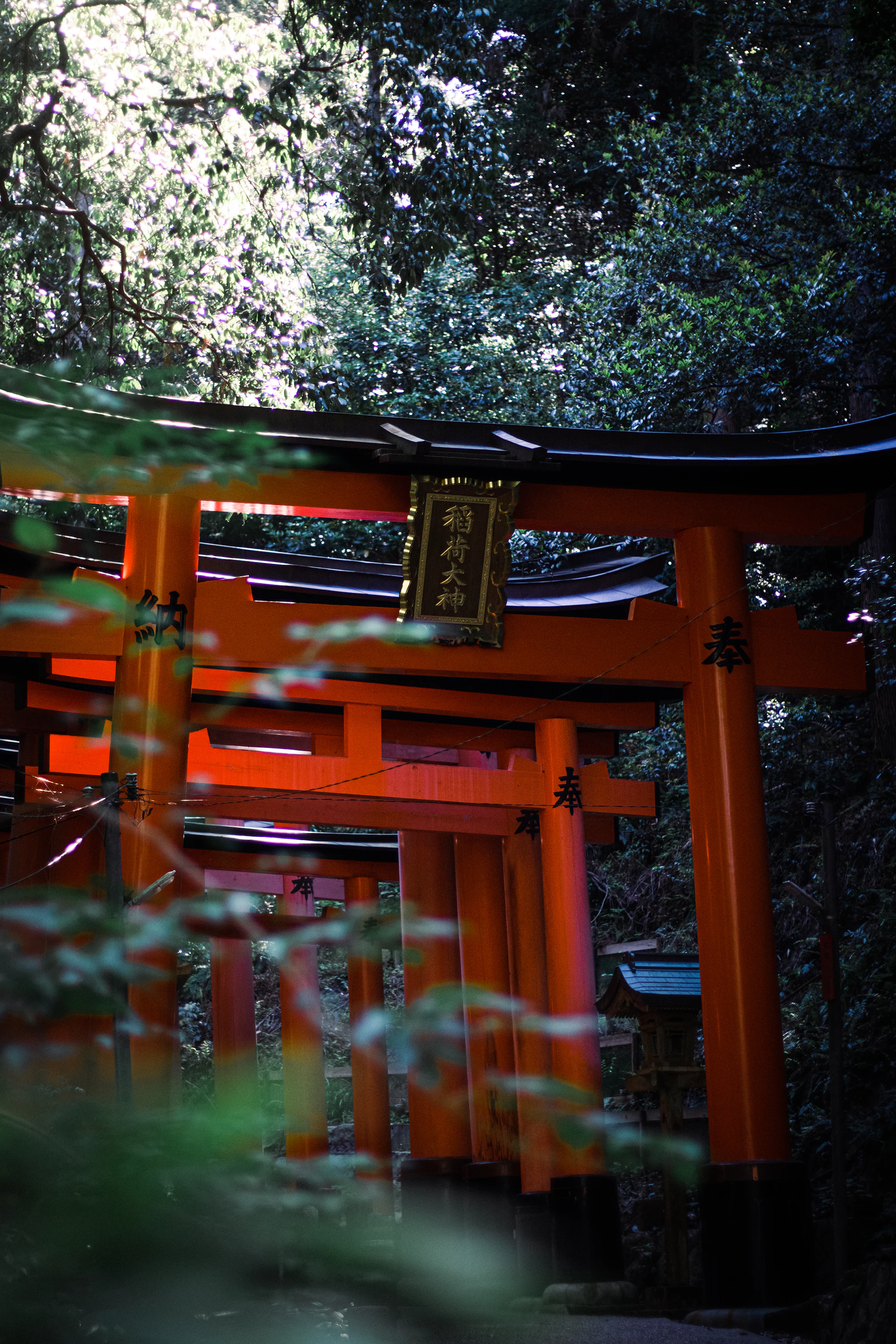 A large orange torii gate in a forest clearing