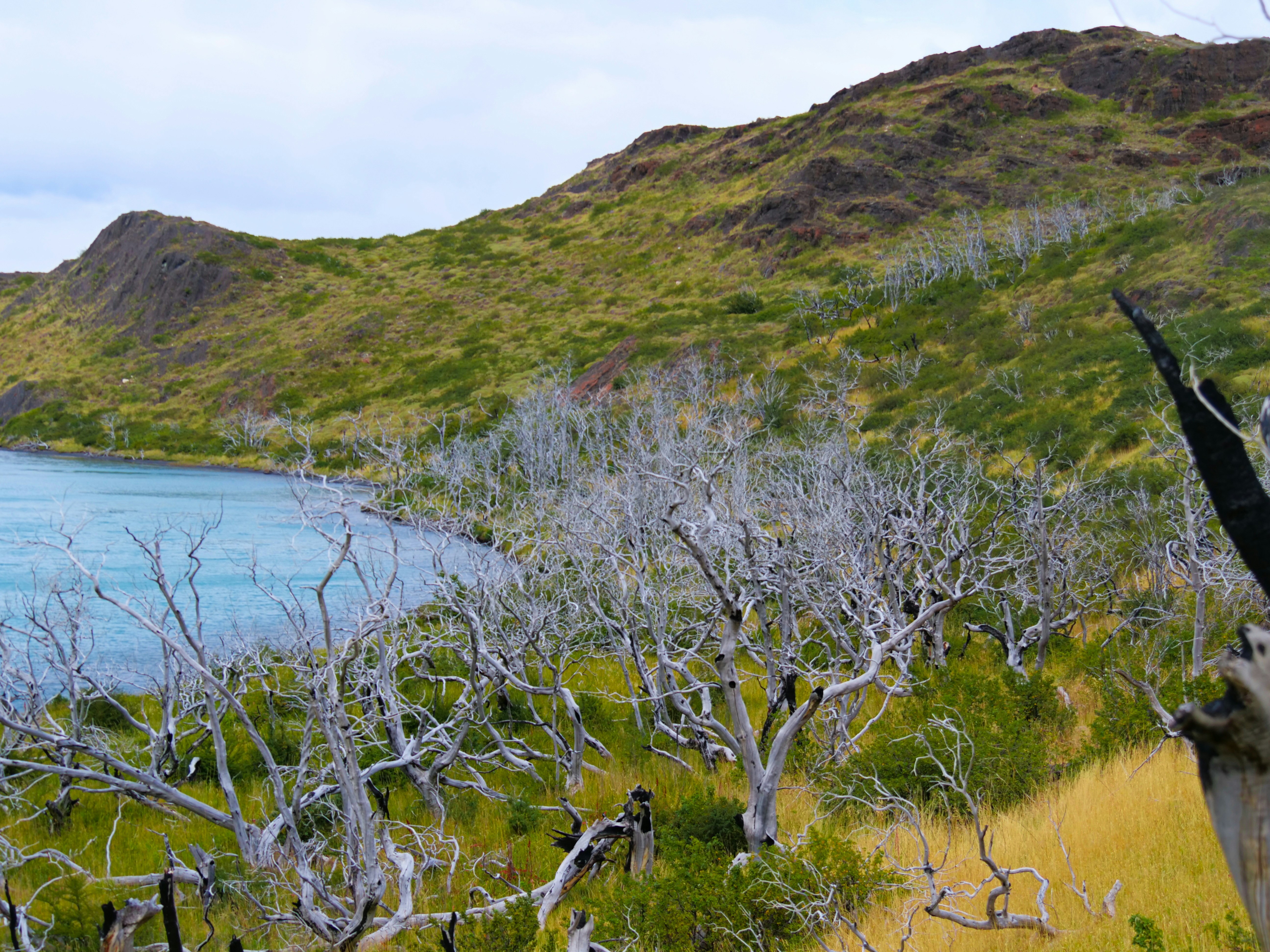 Photo by florian_delee