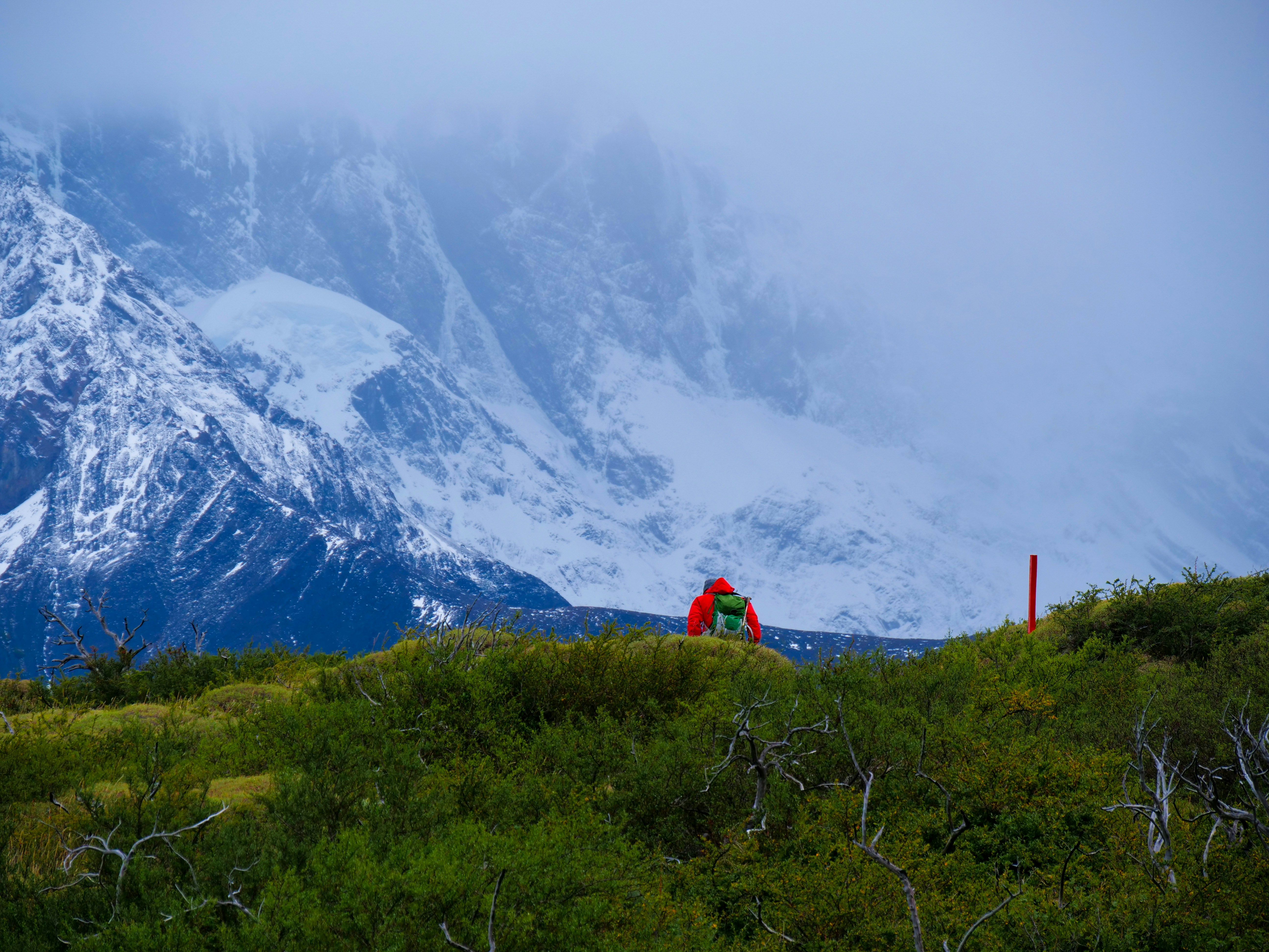 a man standing on top of a lush green hillside, 