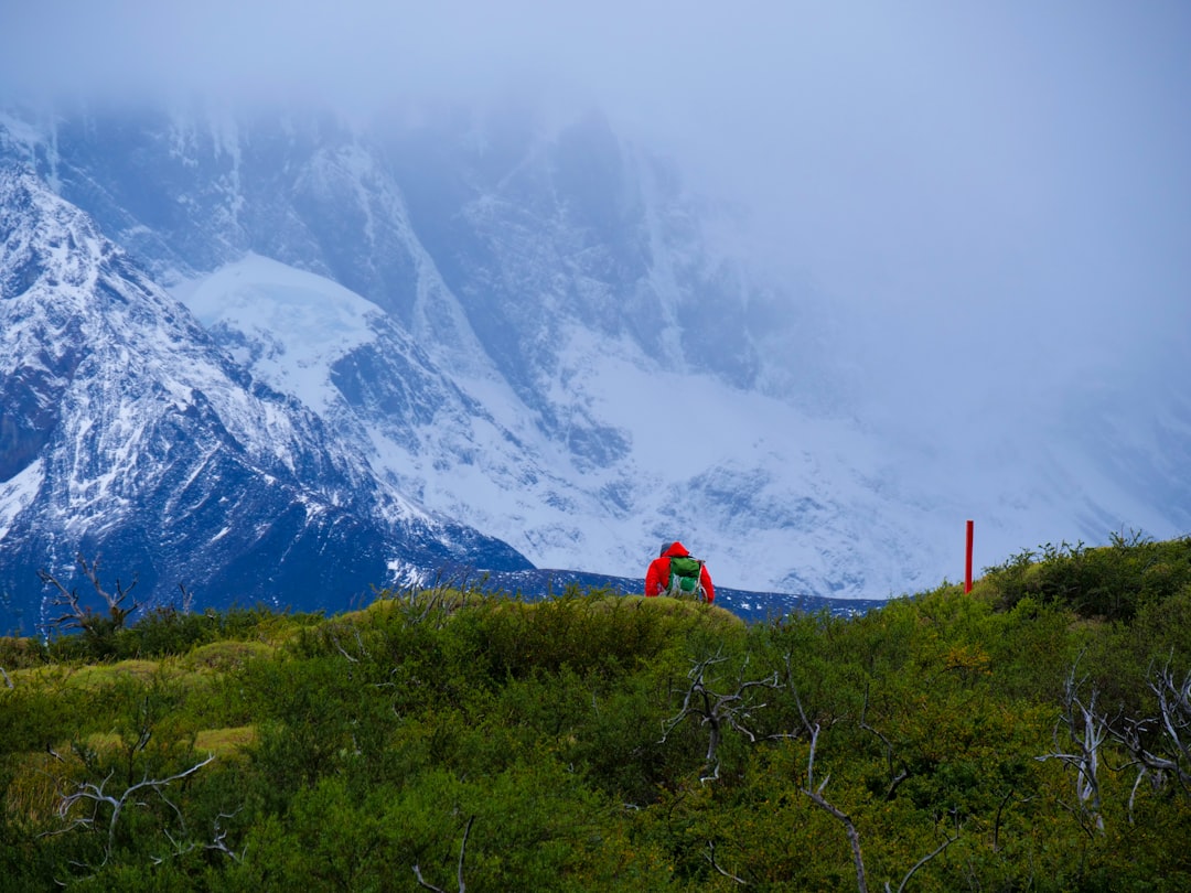 a man standing on top of a lush green hillside,