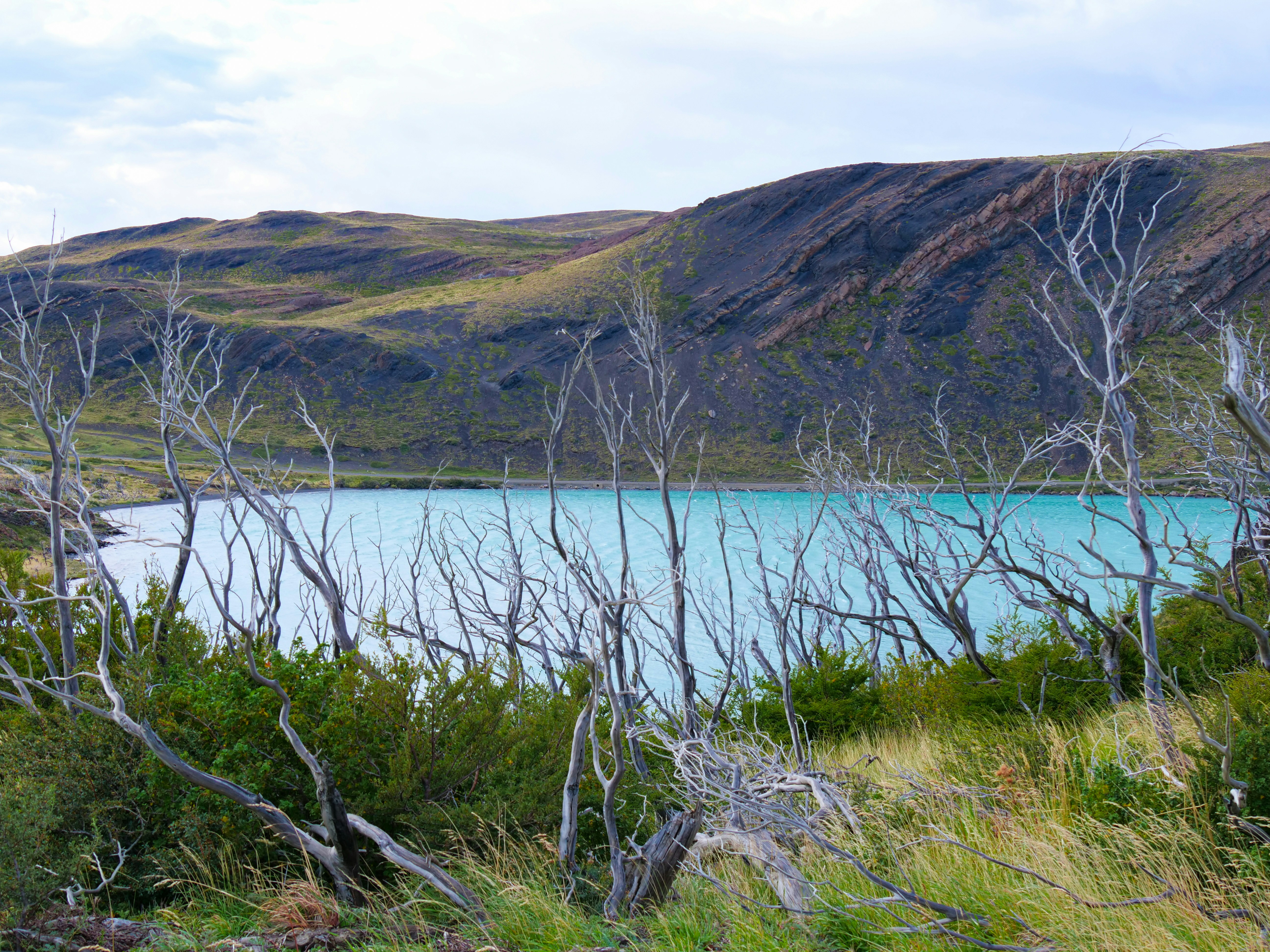 a body of water surrounded by mountains and trees