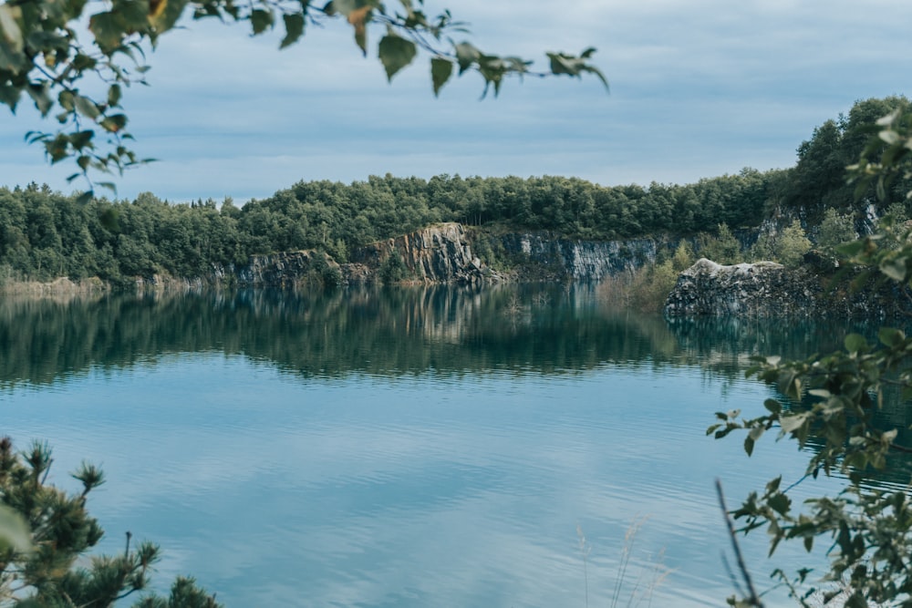 a body of water surrounded by trees and rocks