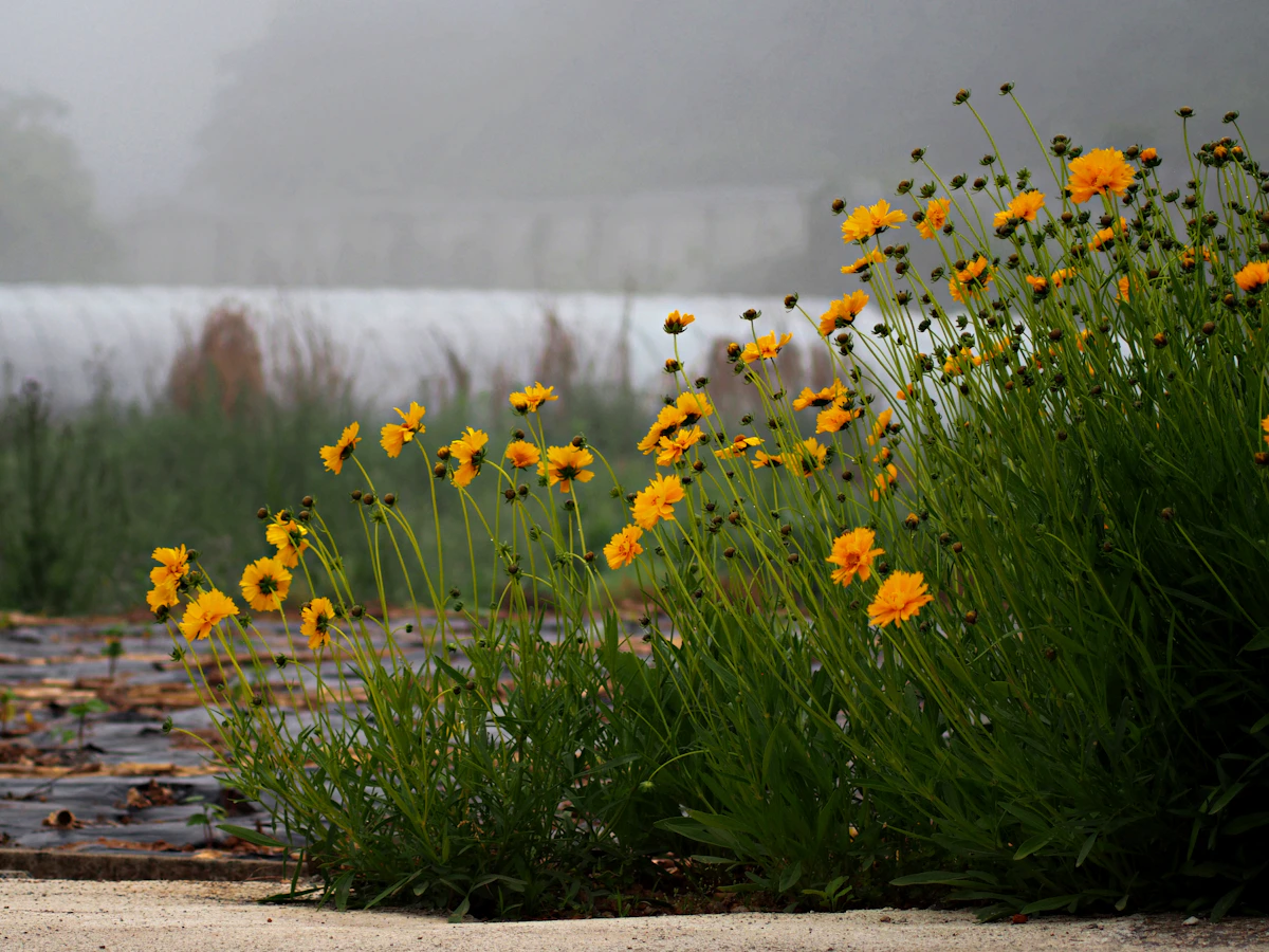 photo by k ms (@ocher47) on unsplash