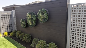 A modern outdoor garden setting featuring a dark wooden wall with three circular planters attached, filled with green foliage. Below the wall is a row of low bushes planted in a neat line. The area is bordered by white lattice fencing and includes a patch of green artificial turf.