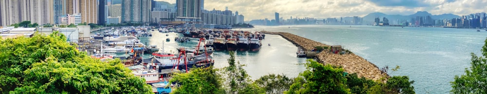 a harbor filled with lots of boats next to tall buildings