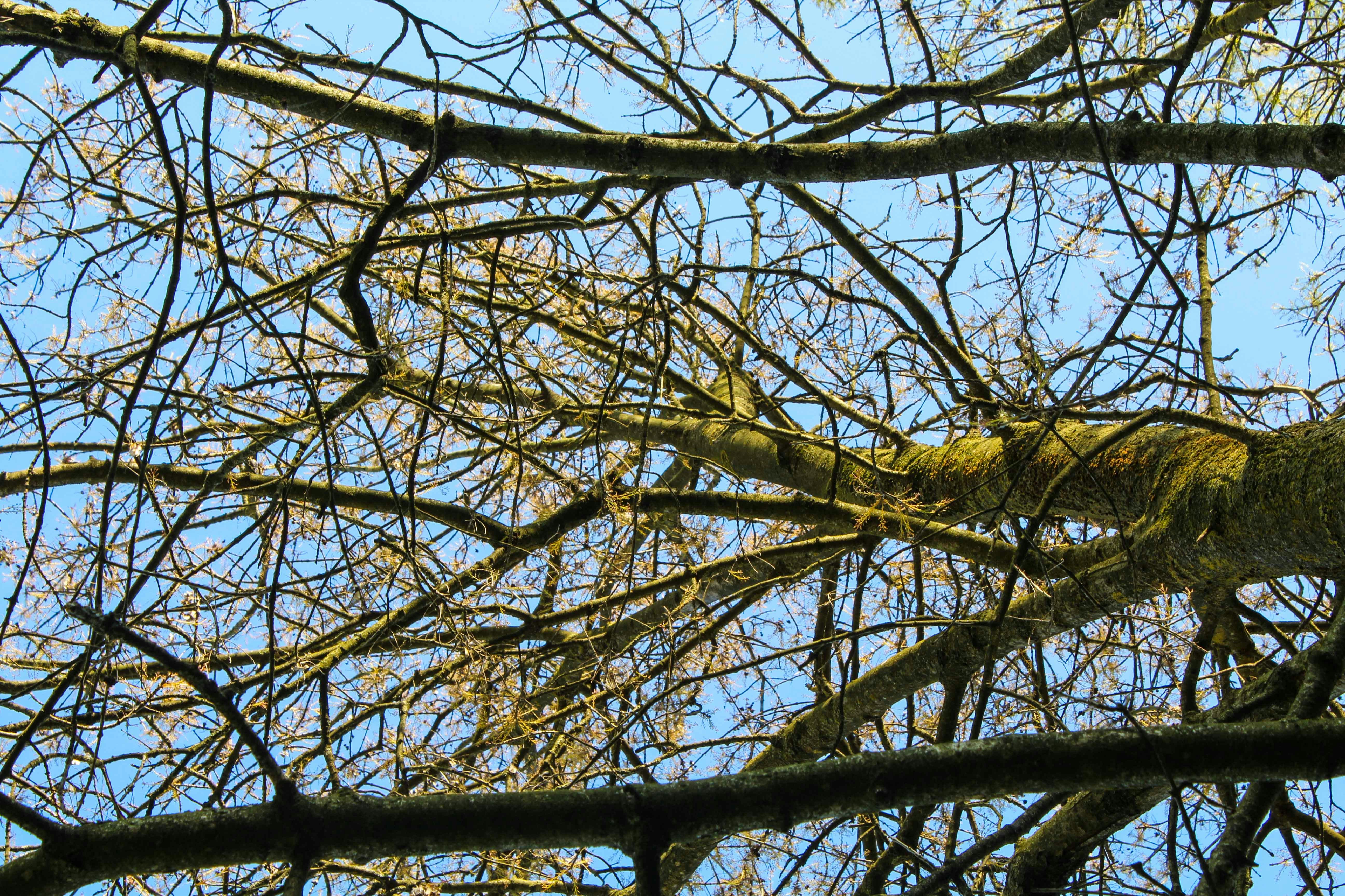 Photo by up_exposure