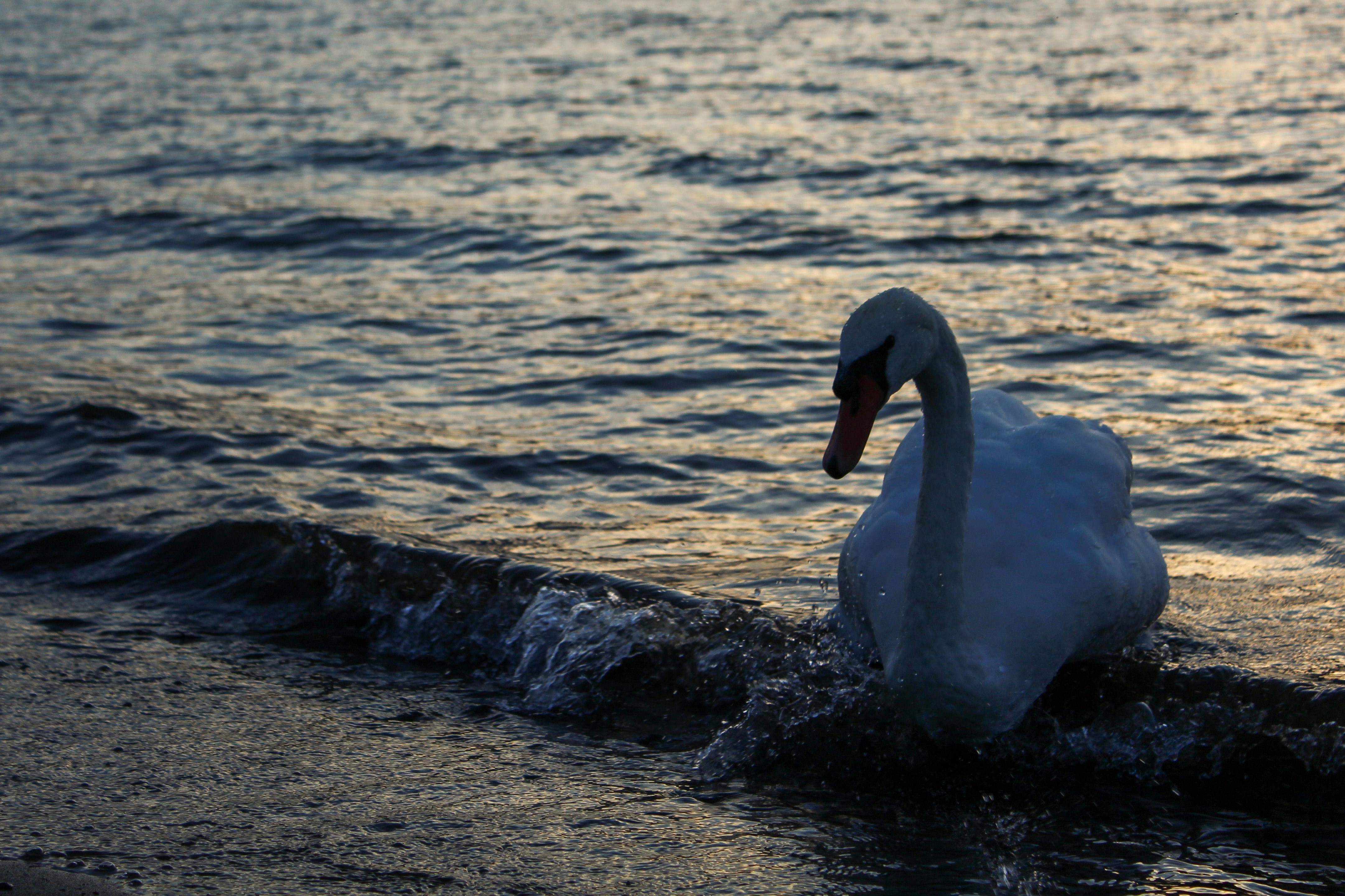 Photo by up_exposure