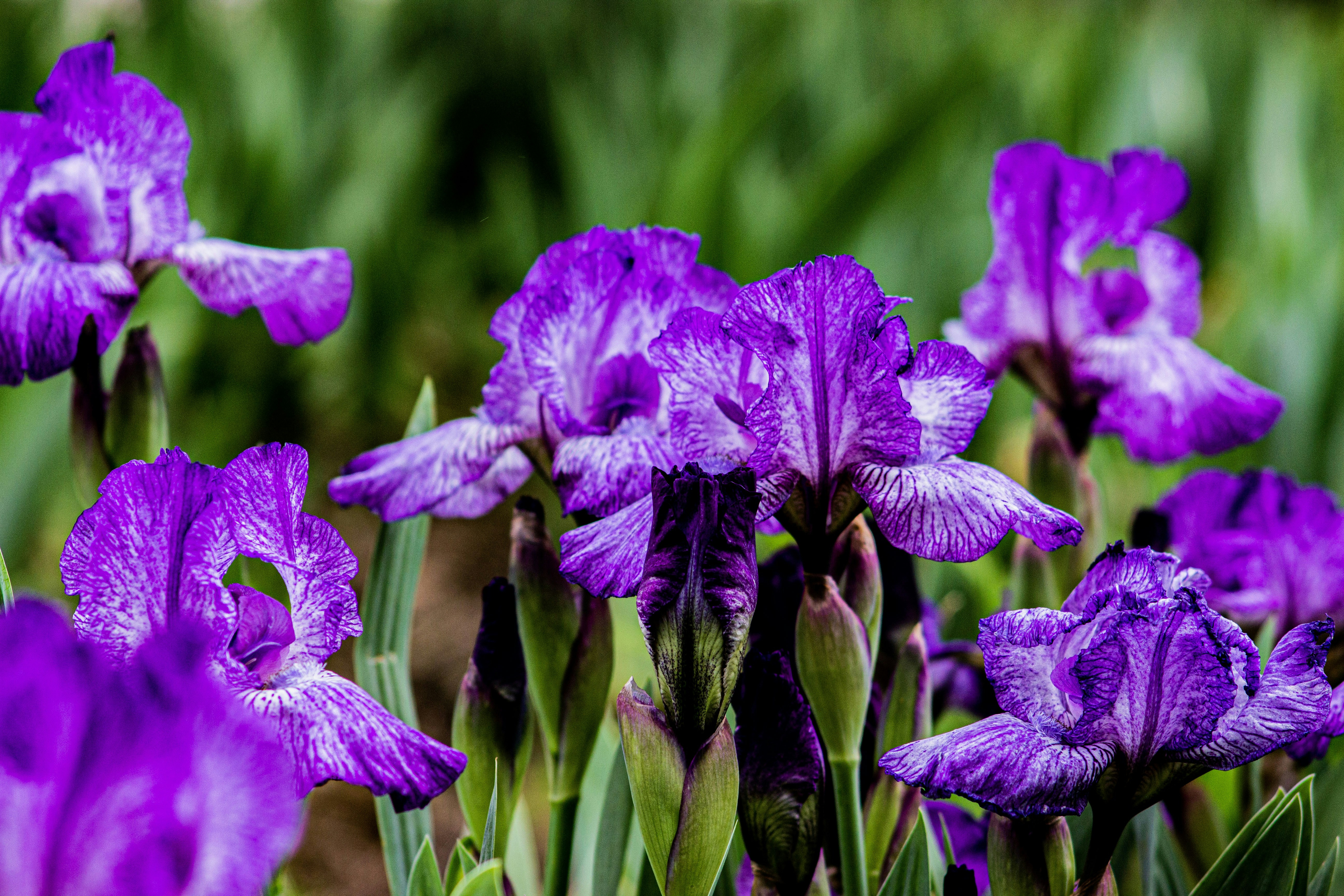 Photo by landerjess50