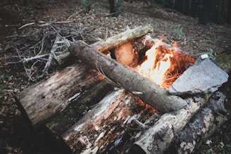 Logs arranged to form a campfire structure with bright flames in the middle, surrounded by dried branches and forest floor leaves. A large flat stone is placed to the side of the fire.