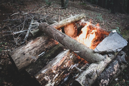 Logs arranged to form a campfire structure with bright flames in the middle, surrounded by dried branches and forest floor leaves. A large flat stone is placed to the side of the fire.