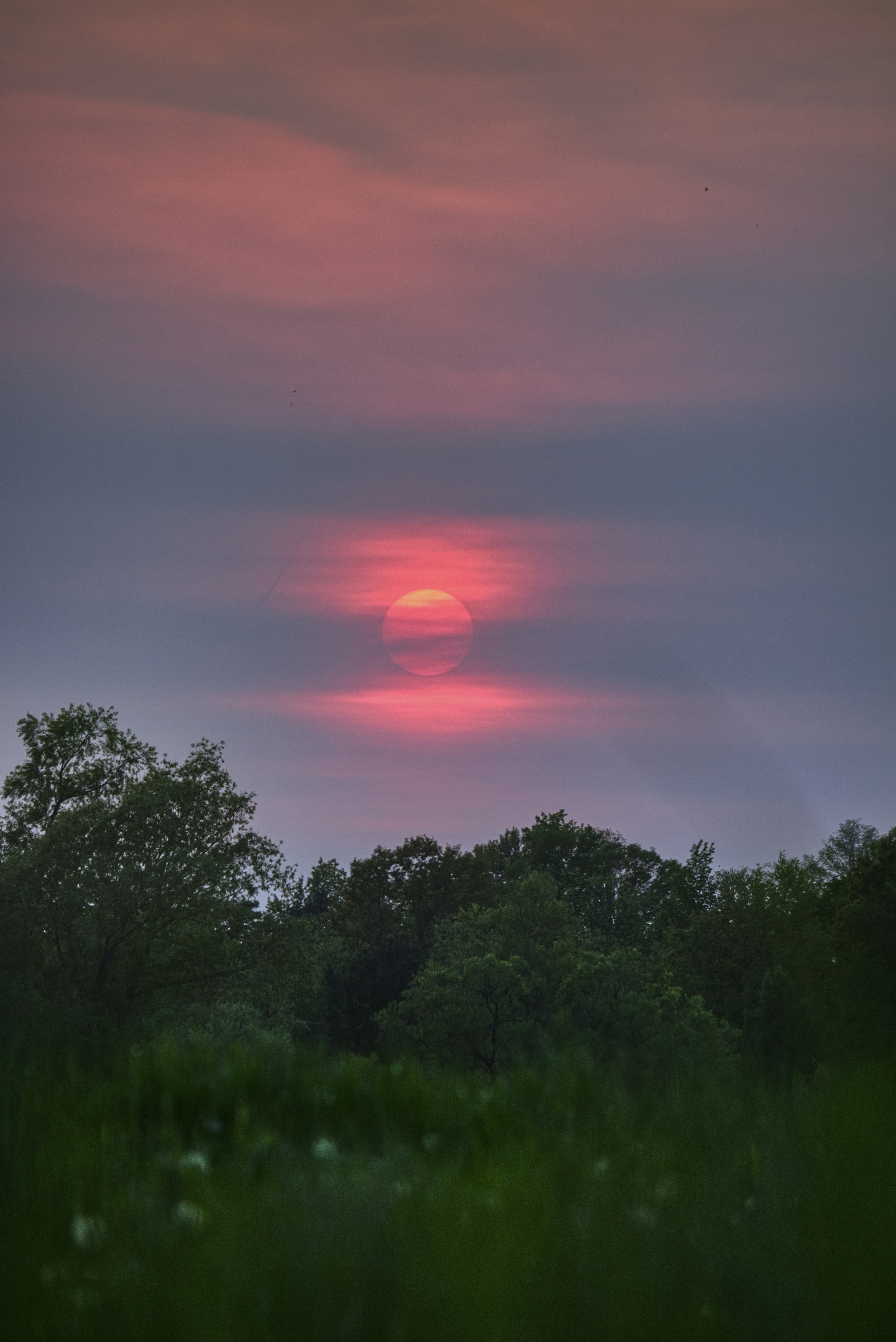 the sun is setting over the trees in the distance