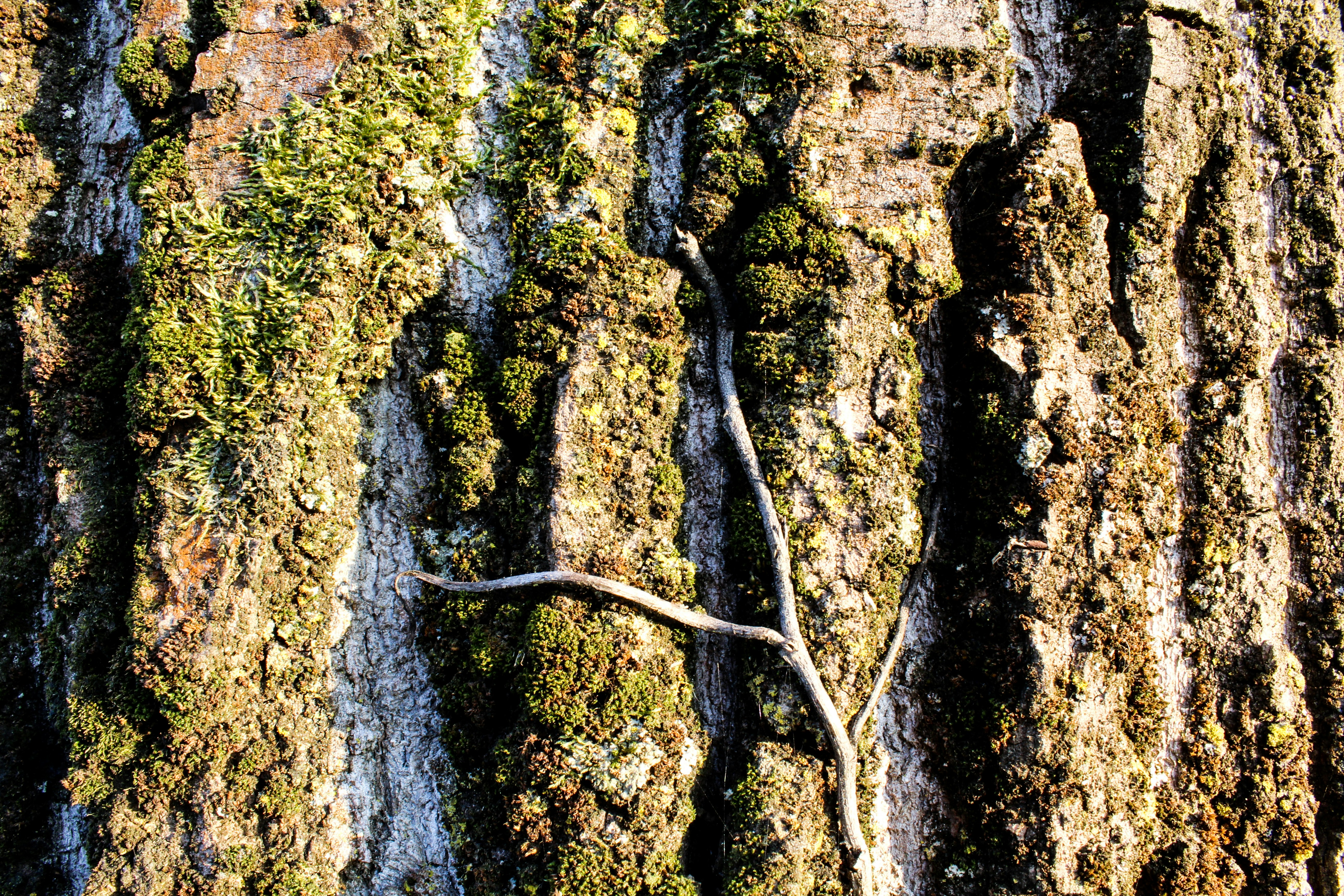 Photo by up_exposure