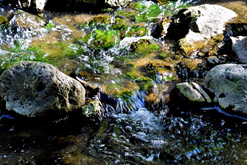 a close up of a stream of water surrounded by rocks