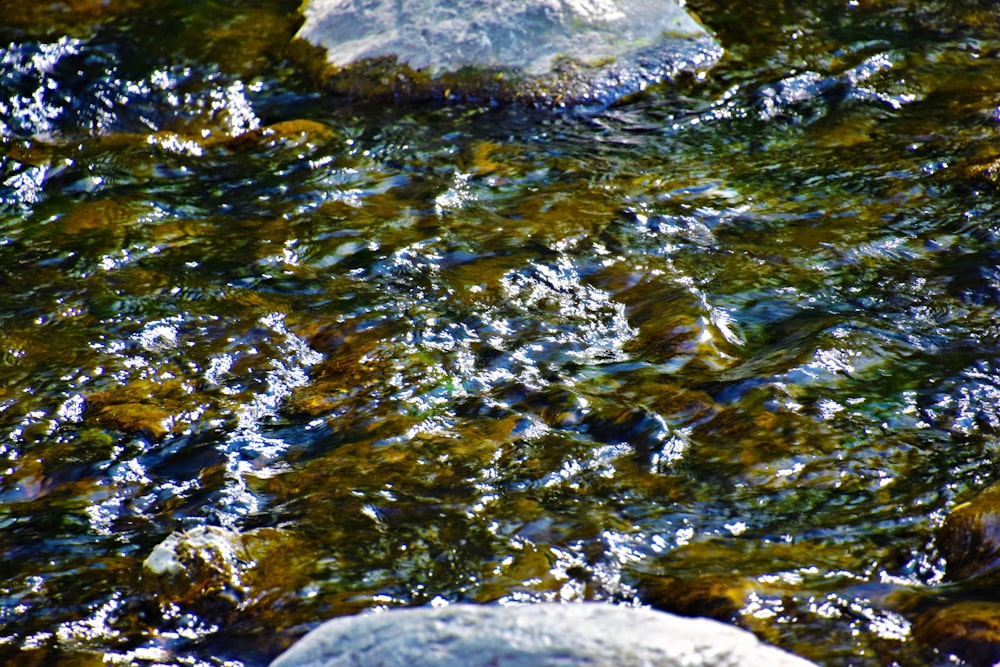 a close up of water with rocks in it