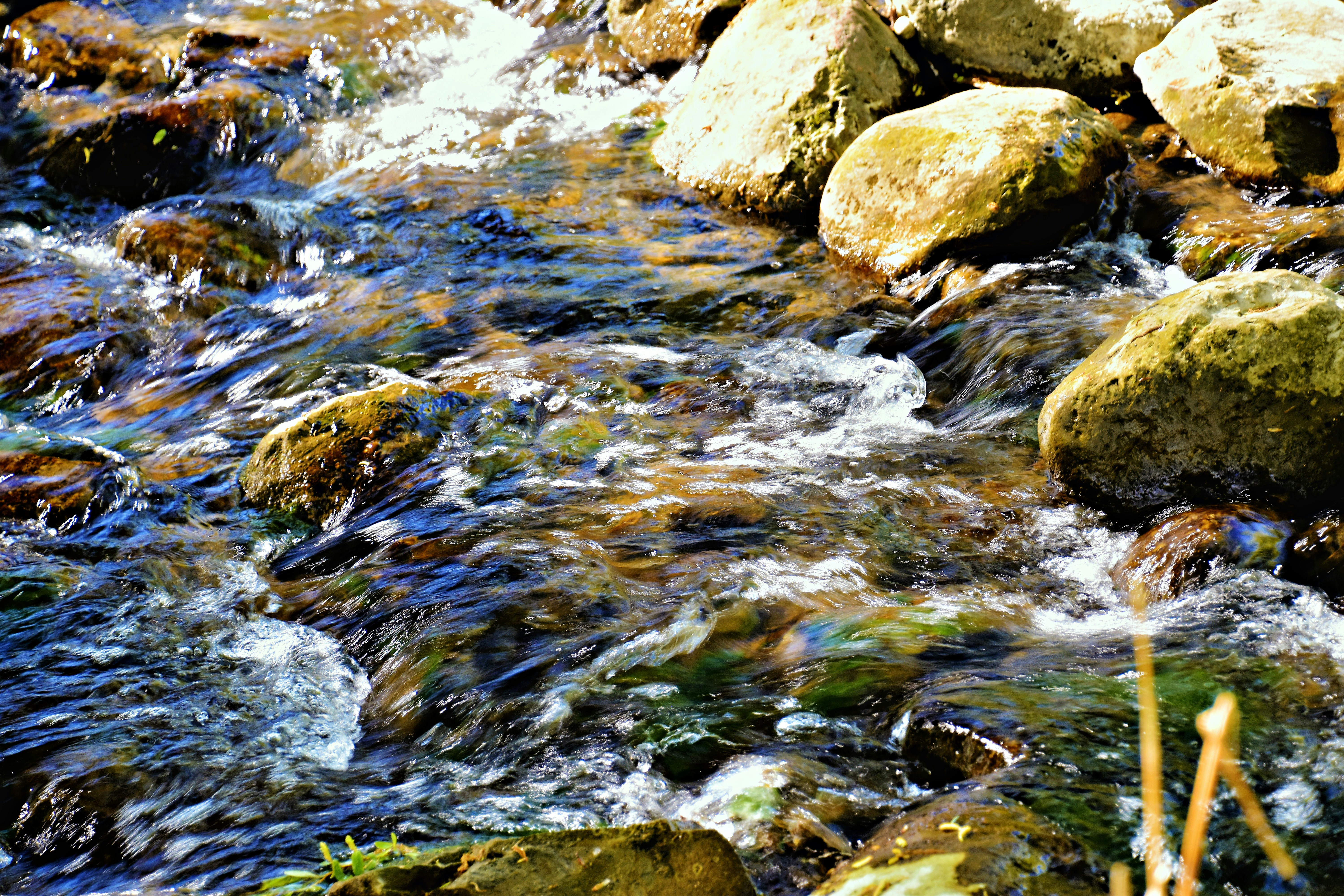 Nahaufnahme eines Flusses mit Felsen und Wasser