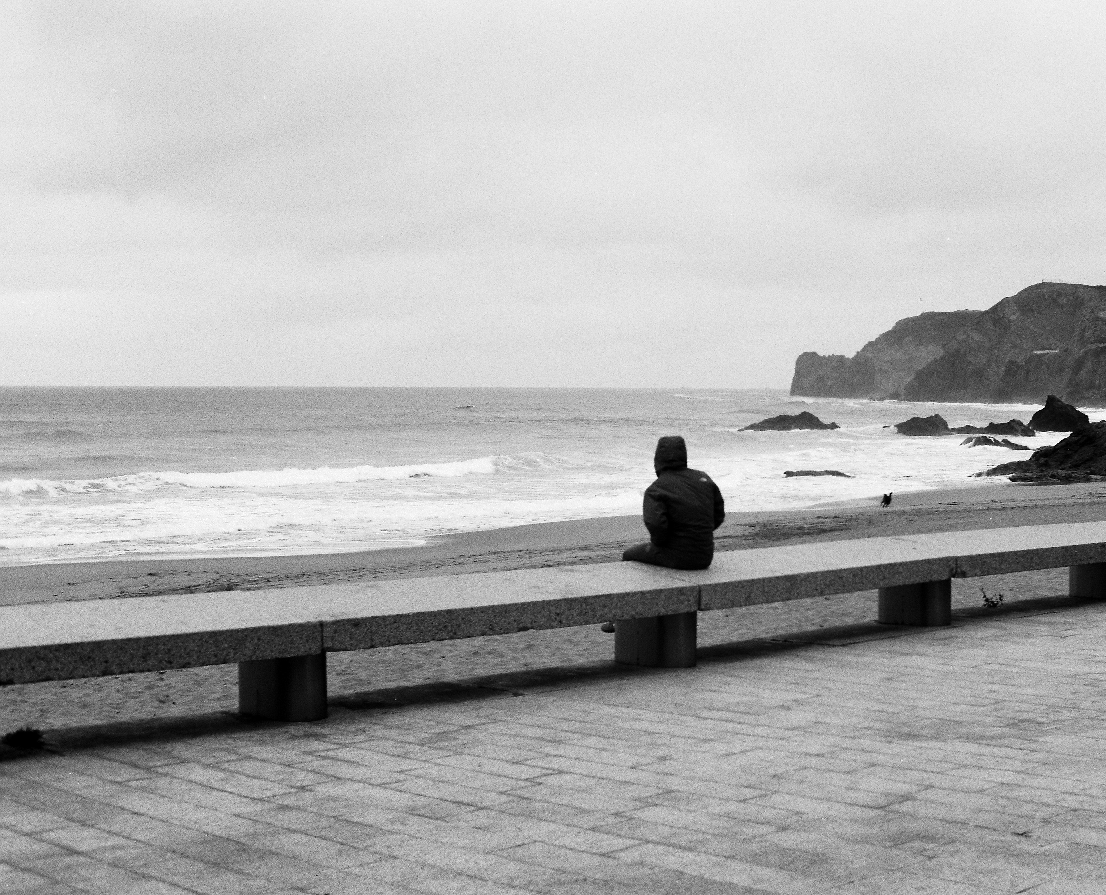 A person sitting on a bench looking out at the ocean photo – Free Water ...