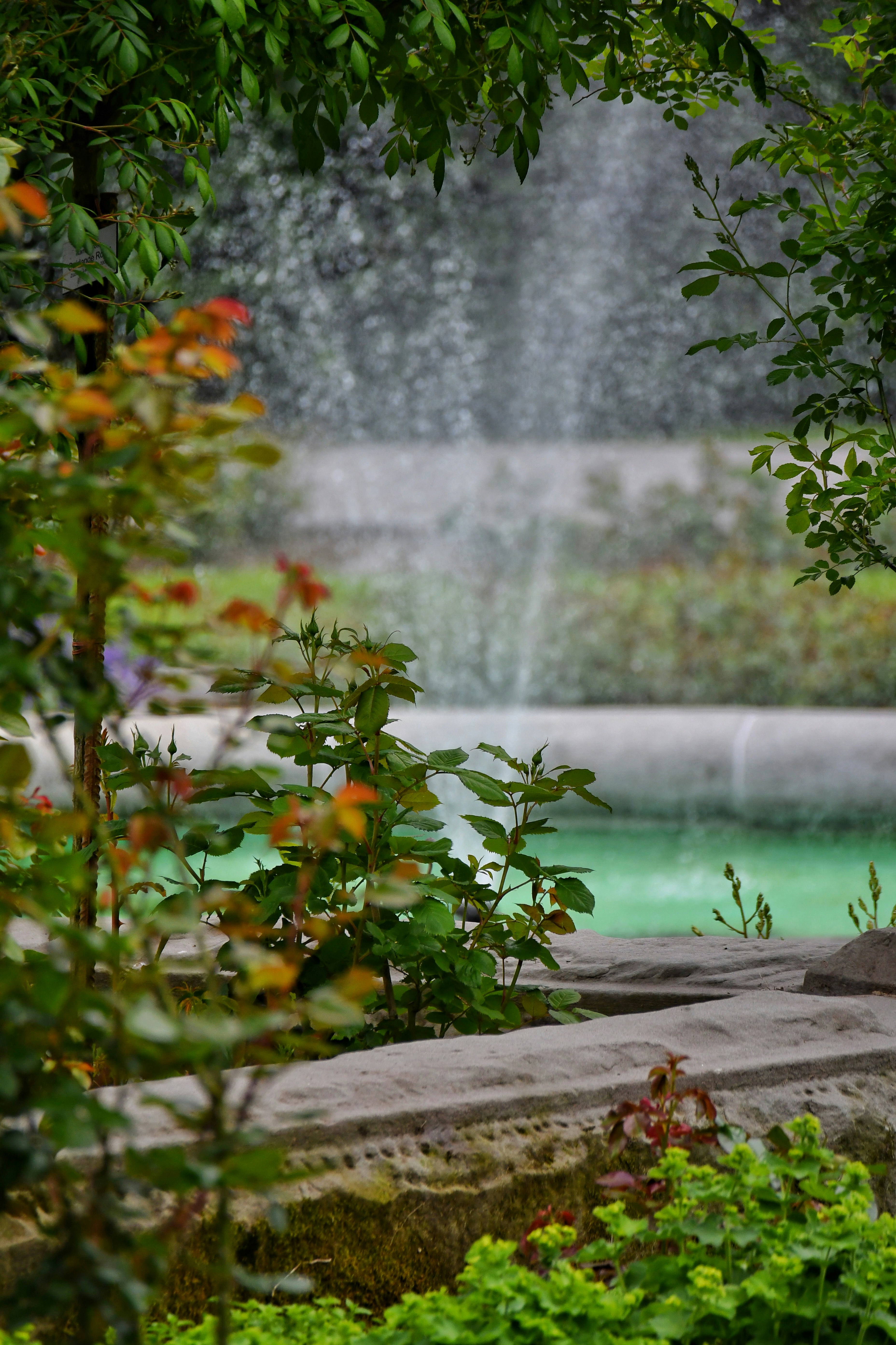 Photo by pedrino5_official