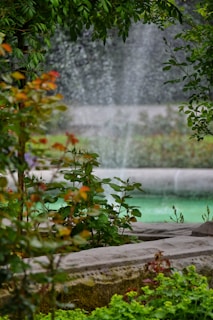 A peaceful water fountain surrounded by lush green plants