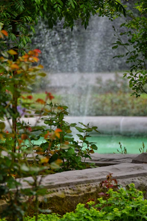 Close-up of a soothing water fountain surrounded by green plants, creating a peaceful atmosphere.