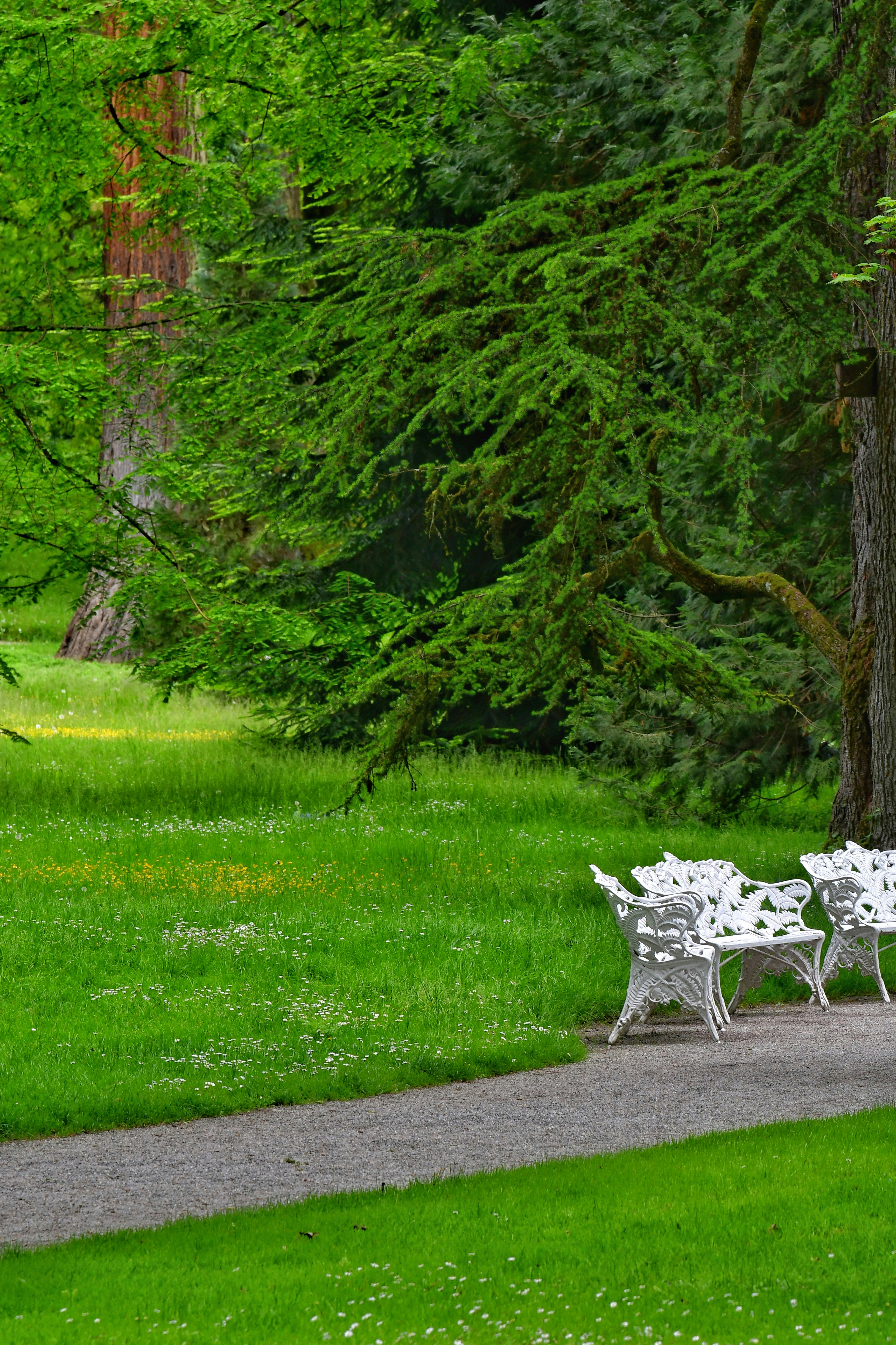 Photo by pedrino5_official