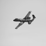 A military aircraft is flying at an angle against a clear sky. The aircraft has distinct engines located on either side of the fuselage and a heavily armored body.