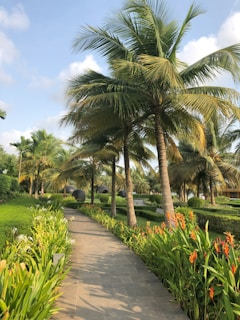 A vibrant garden pathway lined with blooming tropical flowers and neatly trimmed hedges under a bright blue sky.