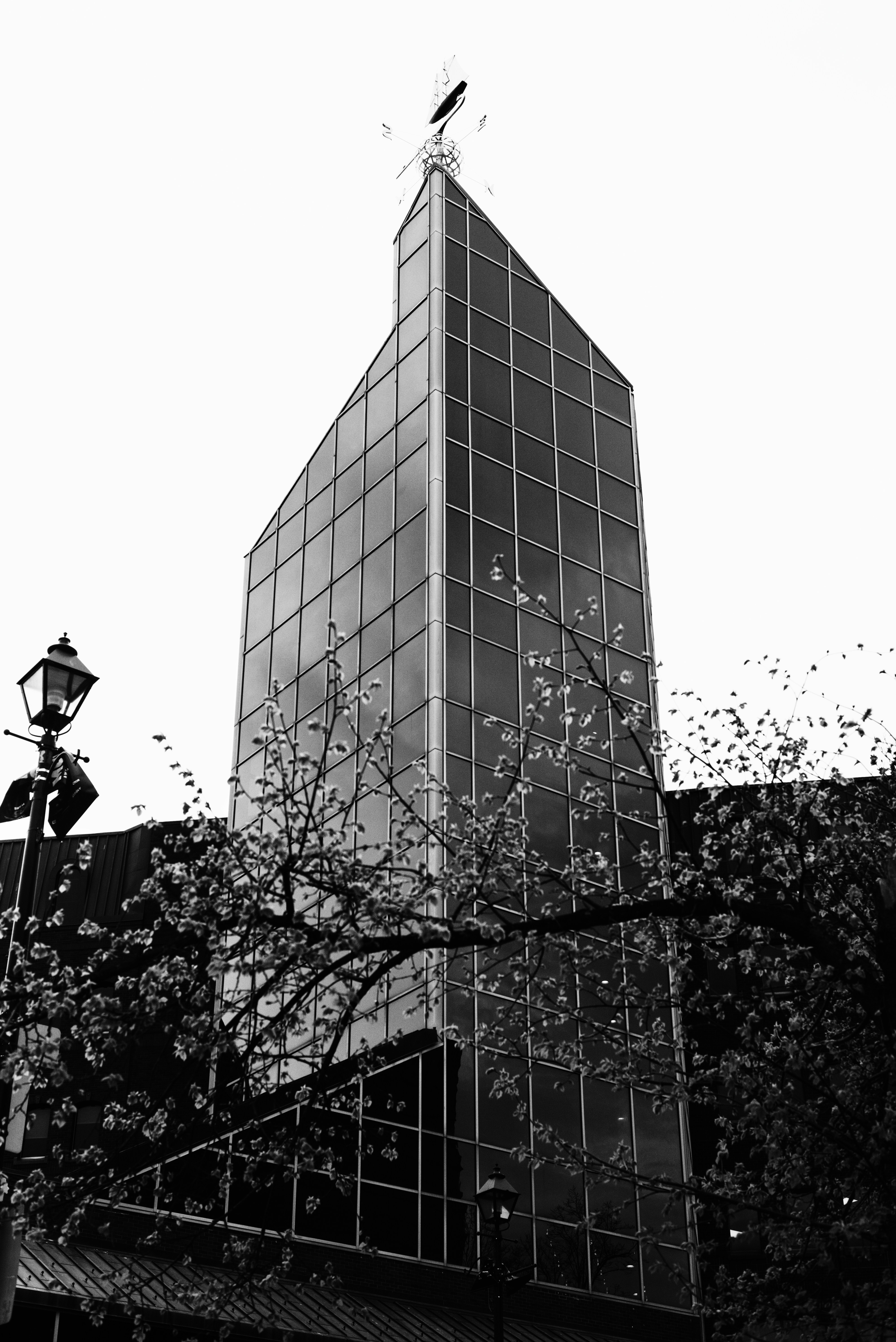 Photo by tylerfarmer