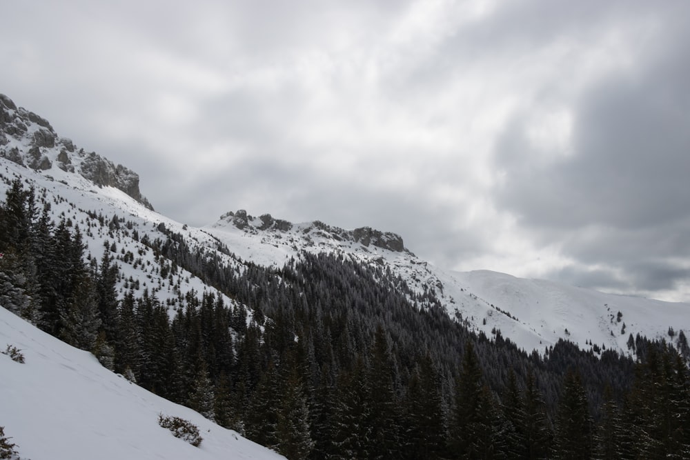 a mountain covered in snow and trees under a cloudy sky