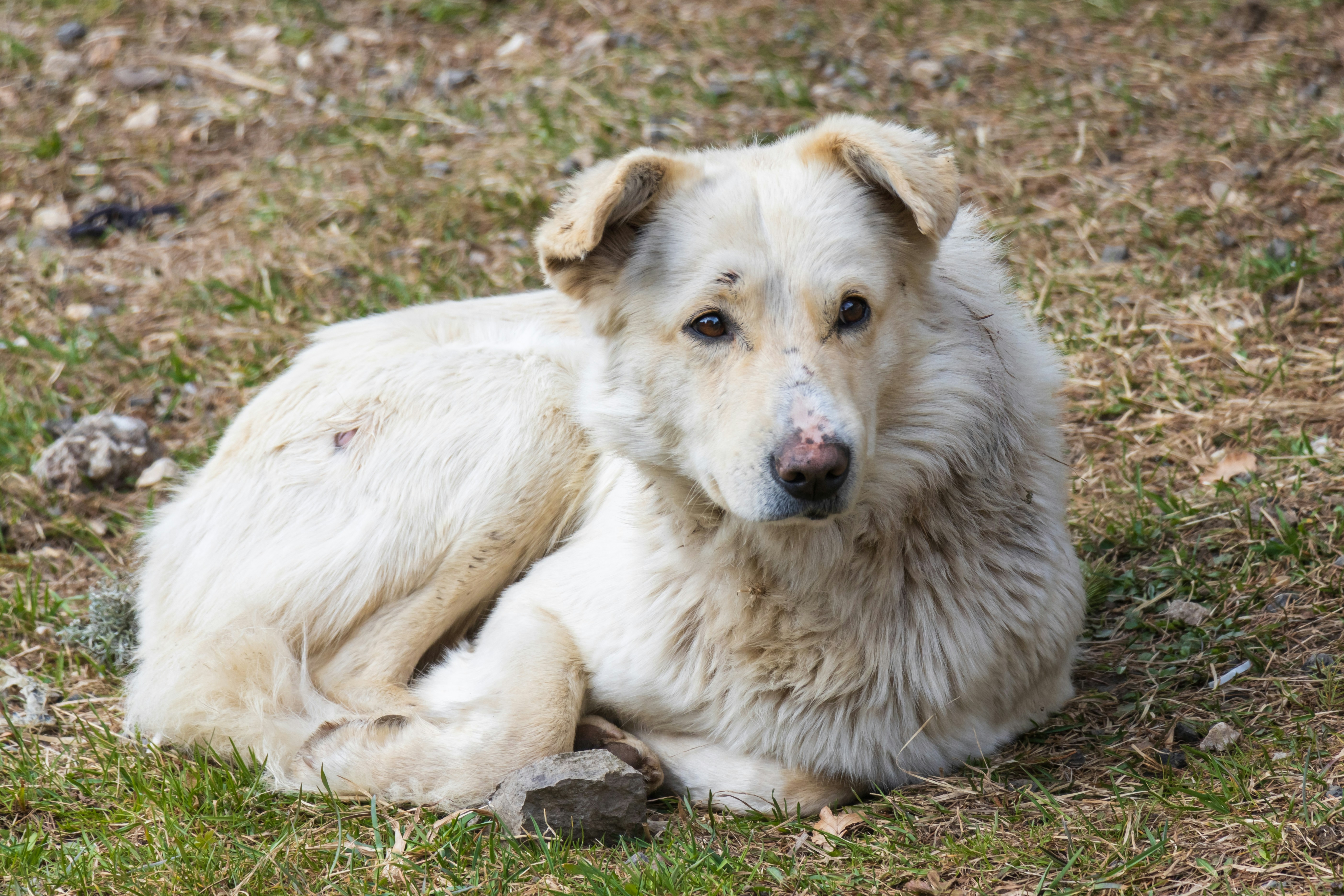 Photo by mechaowlstudios