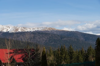 A serene mountain landscape with a small business office nestled among the trees.