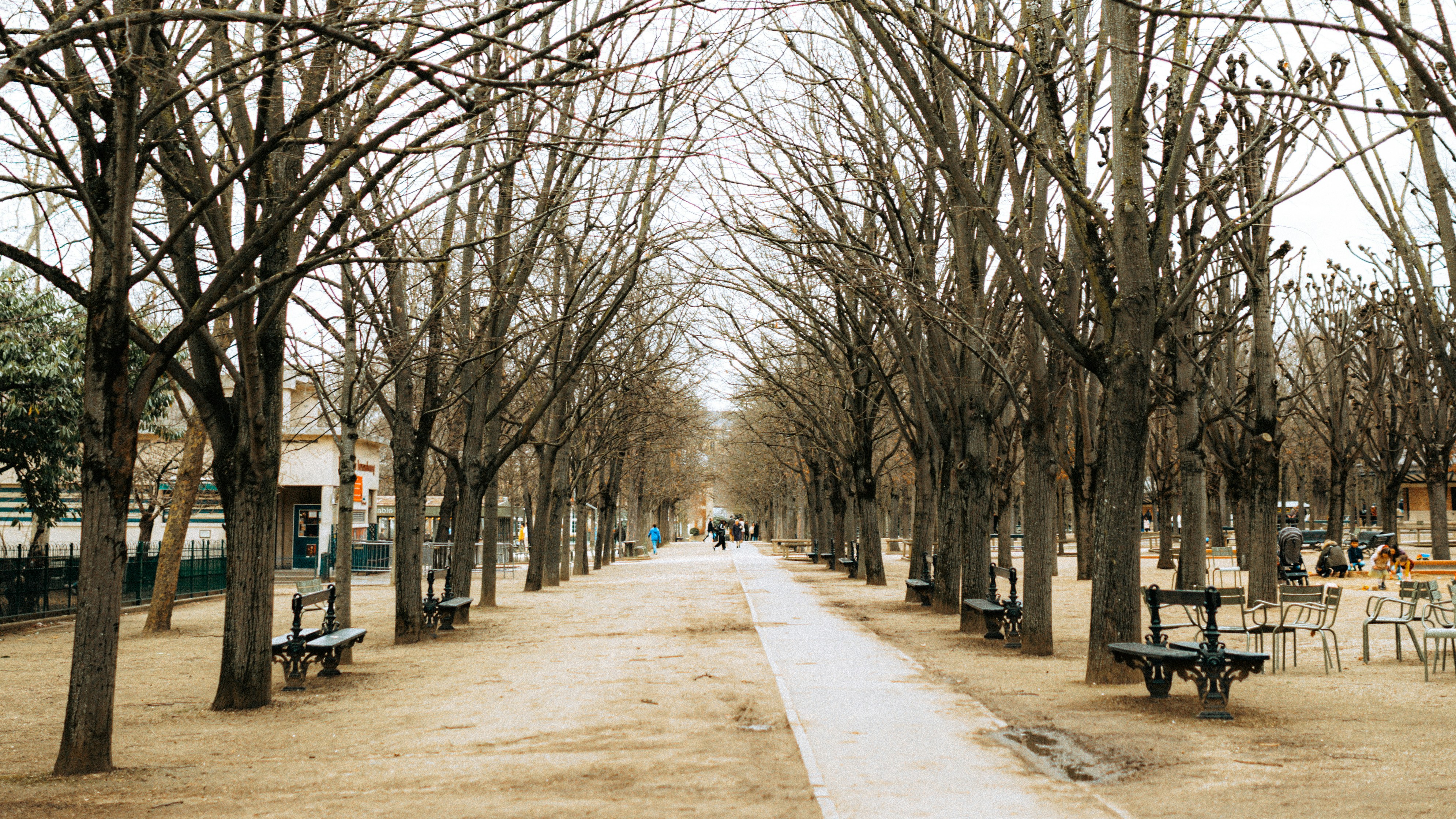 Photo by laerciomilani