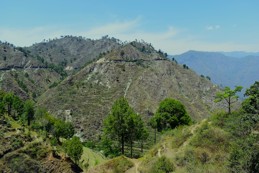 a view of a mountain range with trees on the side