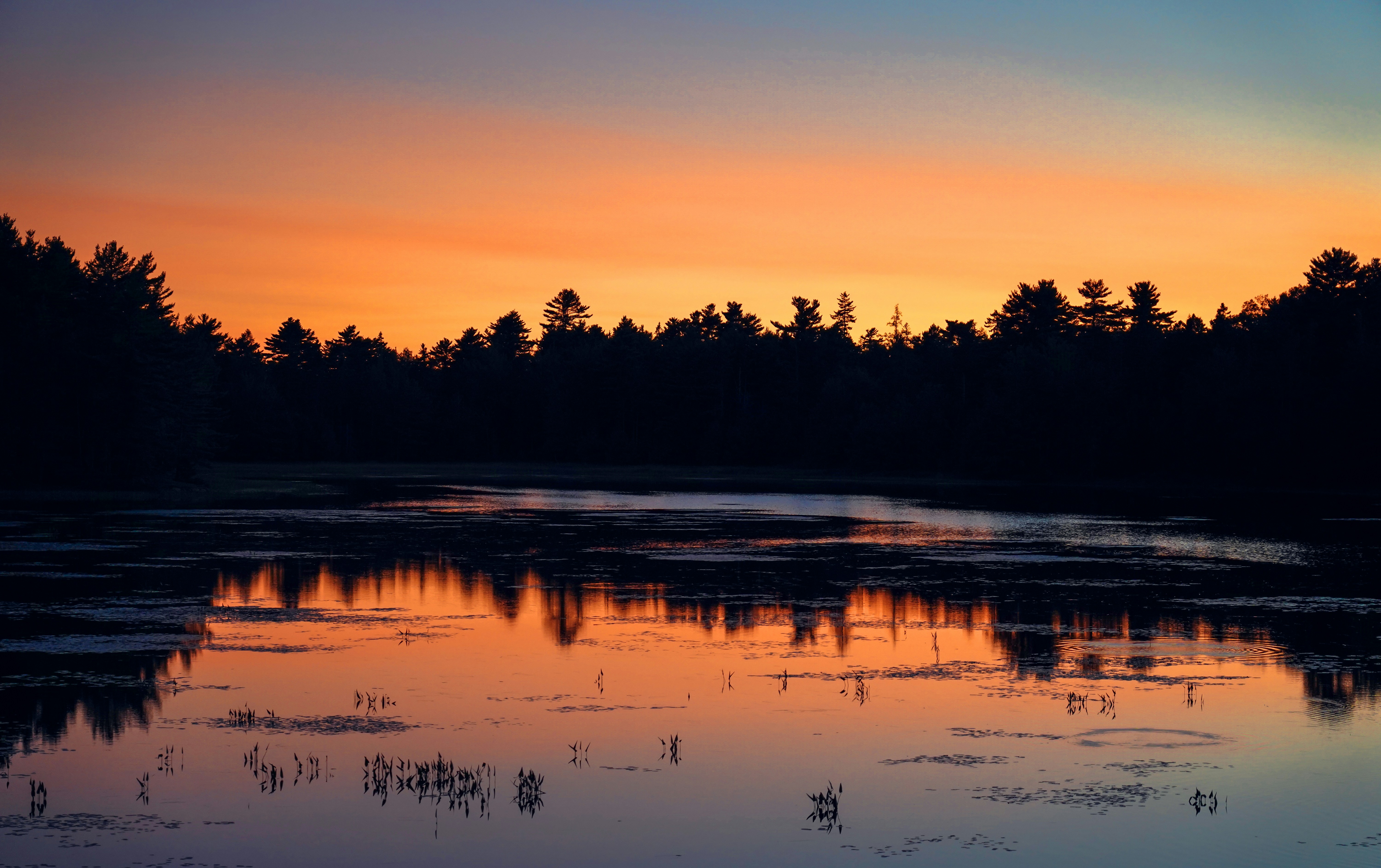 Photo by jeremygbrady