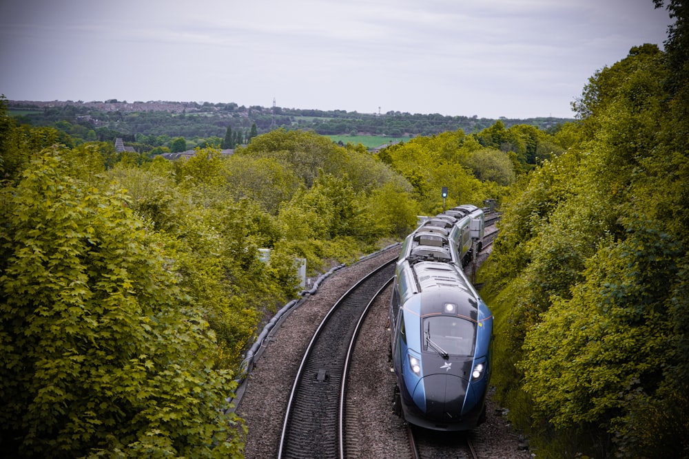 a blue train traveling through a lush green forest