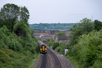 A scenic view of a train traveling through the countryside.