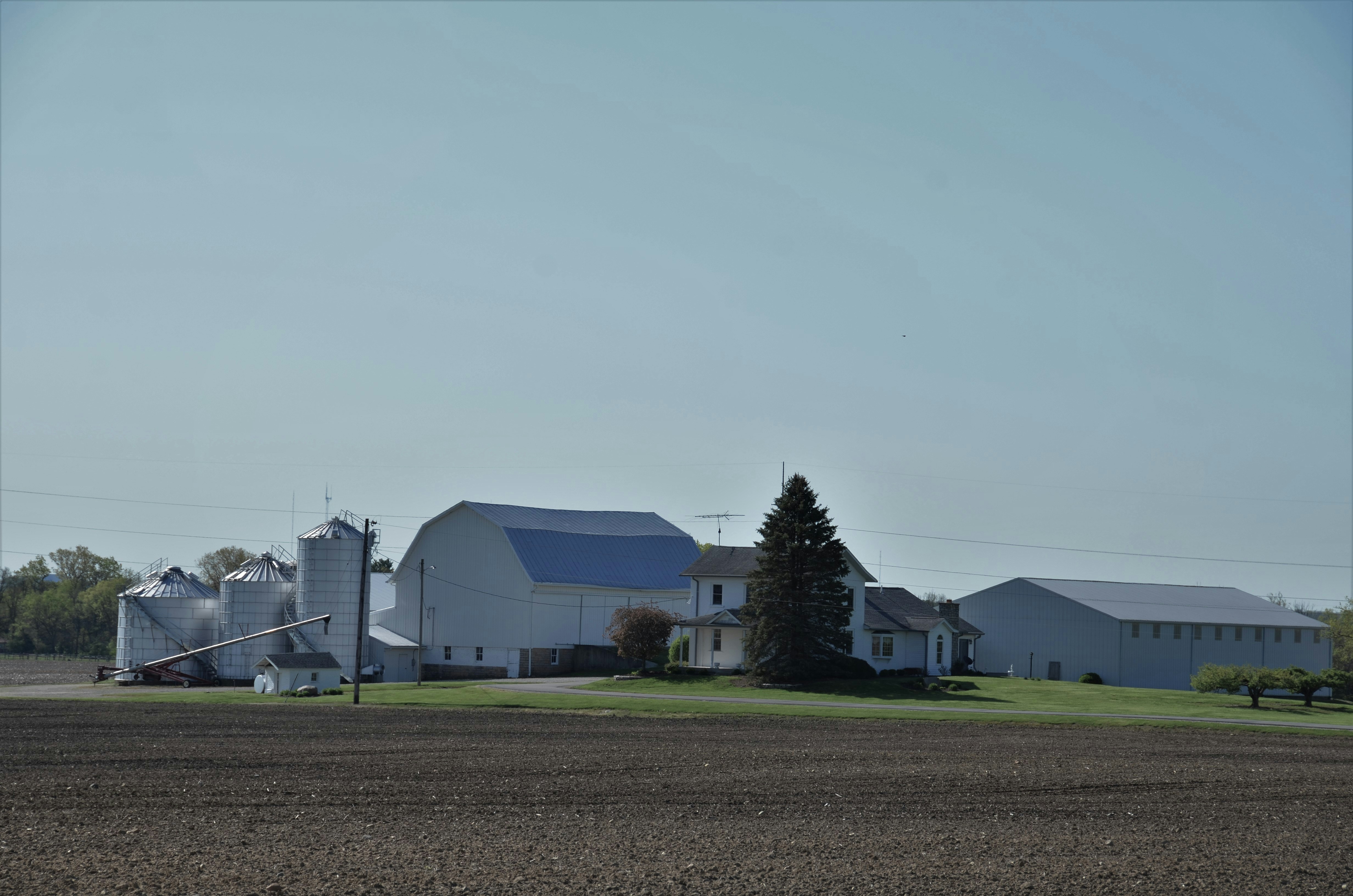 White 2 story frame farmhouse and white outbuildings