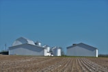 A rural landscape featuring a large, open field with rows of harvested crops leading towards white farm buildings and several metal silos standing against a clear blue sky.