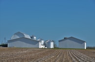 A rural landscape featuring a large, open field with rows of harvested crops leading towards white farm buildings and several metal silos standing against a clear blue sky.