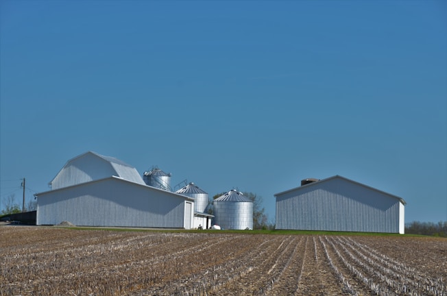 A rural landscape featuring a large, open field with rows of harvested crops leading towards white farm buildings and several metal silos standing against a clear blue sky.