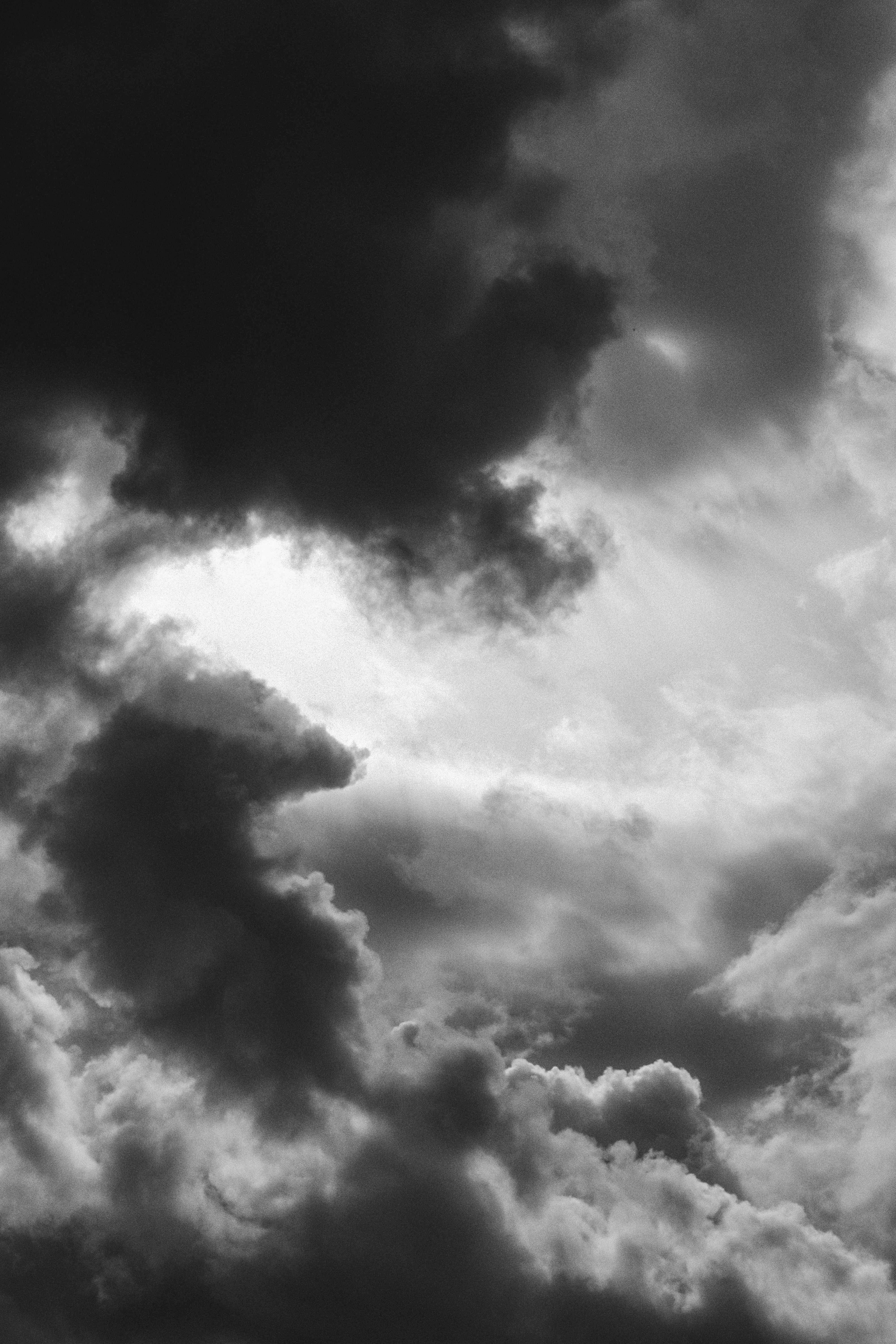 Photo by sweatyhands