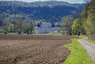 A large, historic-looking white building with multiple roof peaks is situated in the middle of a lush, green landscape surrounded by dense forested hills. A plowed field stretches out in the foreground, while a narrow paved path runs alongside it, bordered by a strip of vivid green grass. Numerous tall trees with sparse spring foliage are scattered around the scene.