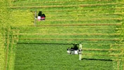 a couple of people on some tractors in a field