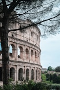 A large, ancient stone structure with multiple arches and pillars, partially obscured by a large tree in the foreground. The structure is set in a natural setting with green foliage, indicating a blend of nature and history.