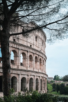 A large, ancient stone structure with multiple arches and pillars, partially obscured by a large tree in the foreground. The structure is set in a natural setting with green foliage, indicating a blend of nature and history.