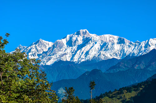 Snow-capped Garhwal Himalaya peaks above pine forests in Uttarakhand