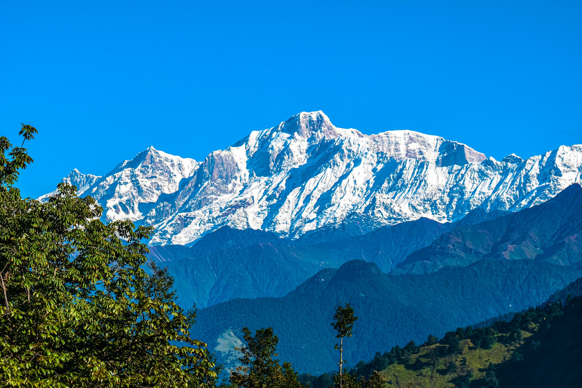 a snow covered mountain with trees in the foreground