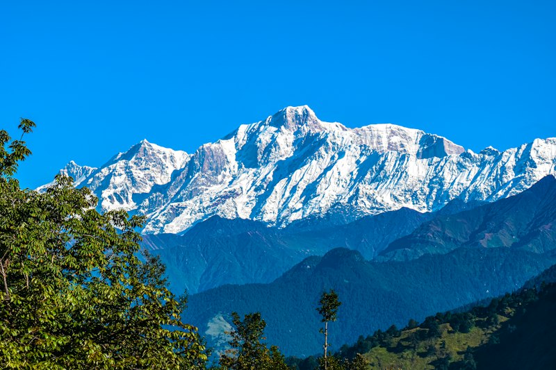 Pindari Glacier Trek — Trek & Adventure destination in Uttarakhand